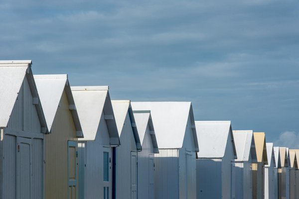 Les Jardins de Giverny vu par les artistes